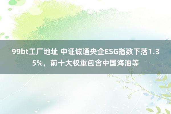 99bt工厂地址 中证诚通央企ESG指数下落1.35%，前十大权重包含中国海油等