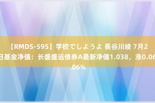 【RMDS-595】学校でしようよ 長谷川綾 7月26日基金净值：长盛盛远债券A最新净值1.038，涨0.06%