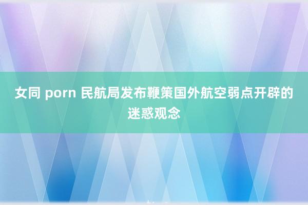 女同 porn 民航局发布鞭策国外航空弱点开辟的迷惑观念