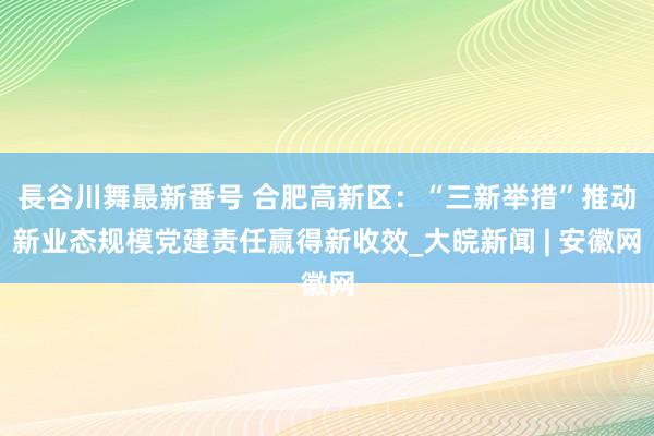 長谷川舞最新番号 合肥高新区：“三新举措”推动新业态规模党建责任赢得新收效_大皖新闻 | 安徽网