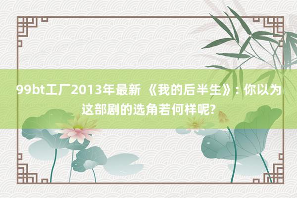 99bt工厂2013年最新 《我的后半生》: 你以为这部剧的