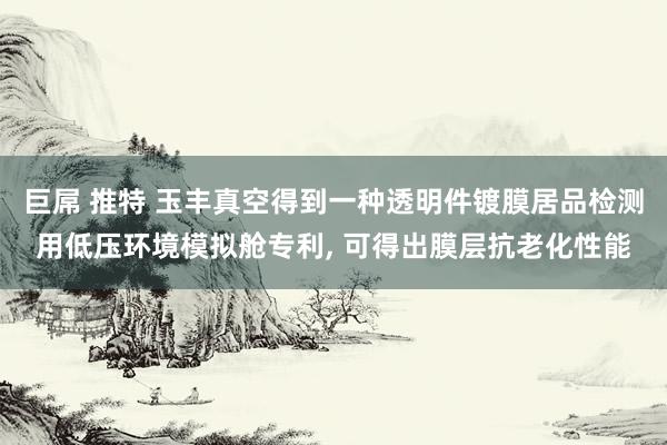 巨屌 推特 玉丰真空得到一种透明件镀膜居品检测用低压环境模拟